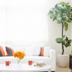 Modern sitting room with comfortable sofas and natural light in a Turkish home